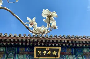 Bin Feng Bridge