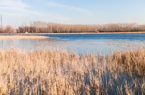 Yeyahu Wetland Park