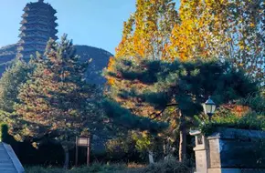 Yunju Temple
