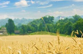 Baili Landscape Gallery Scenic Spot
