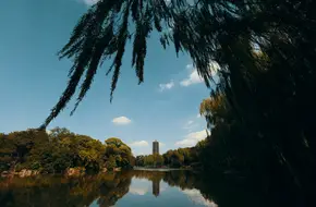 Weiminghu