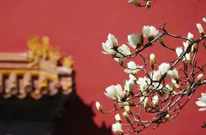 The Working People'S Cultural Palace