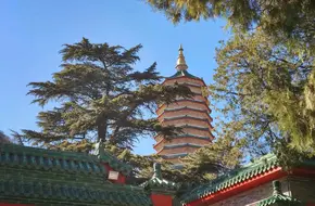 Badachu Park
