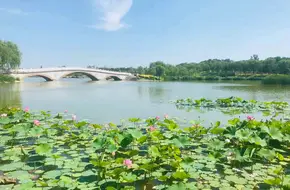 Nanhaizi Park
