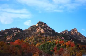Yinshan Pagoda Forest