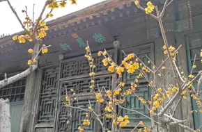 Lenong Pavilion