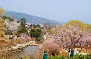 Beijing Xishan National Forest Park