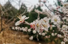 Beijing Xishan National Forest Park