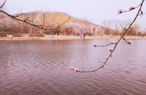 Penglai Yaotai