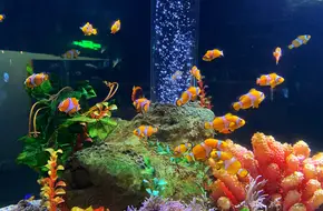 Fuguo Underwater World