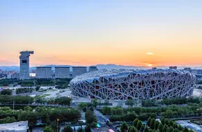 Bird'S Nest