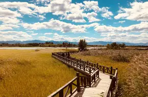 Yeyahu Wetland Park