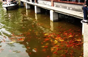 Tuanjiehu Park