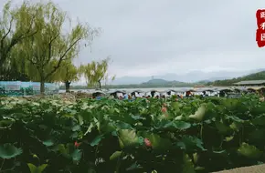 Kunming Lake