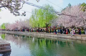 Ruins Of The Yuan Dynasty
