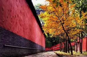 Jietai Temple