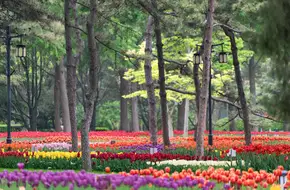Ritan Park