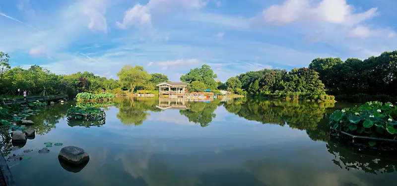 Shanghai Botanical Garden