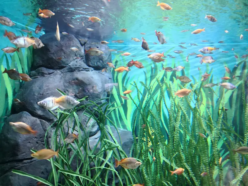 Shanghai Ocean Aquarium