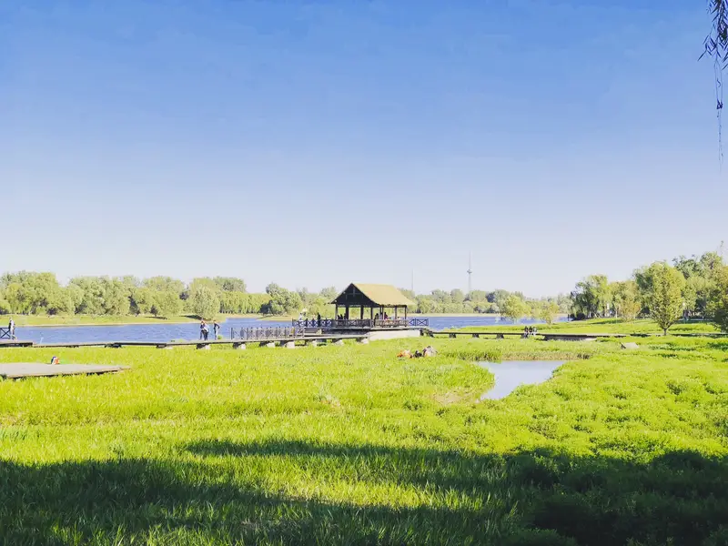 Grand Canal Forest Park