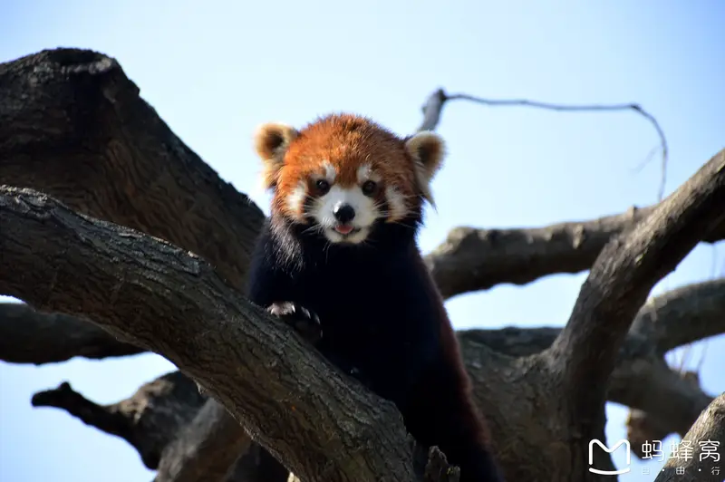 Shanghai Zoo
