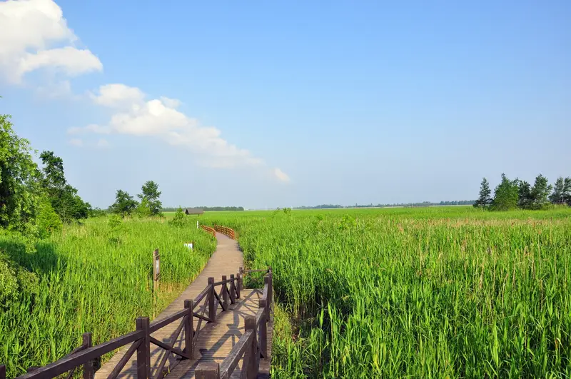Xisha Wetland Park