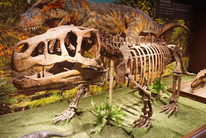 The Paleozoological Museum Of China