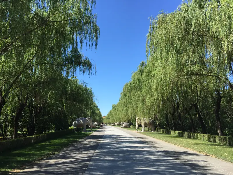 Sacred Road Scenic Area