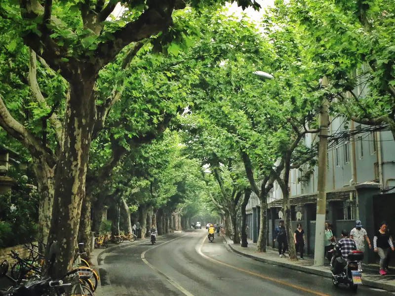 Sinan Road