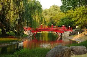 Shanghai Oriental Land