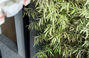 Dongsi Hutong