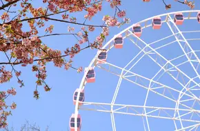 Gucun Park