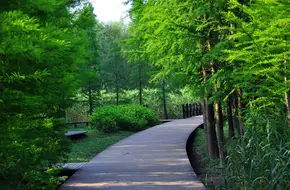 Xisha Wetland Park