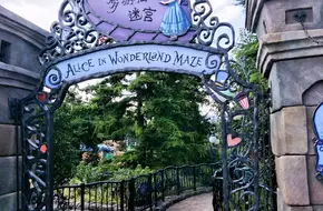 Alice In Wonderland Maze