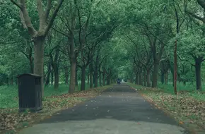 Dongping National Forest Park