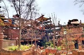Camp Discovery
