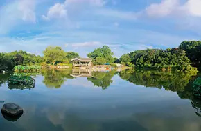 Shanghai Botanical Garden