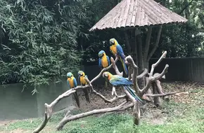 Shanghai Ocean Aquarium