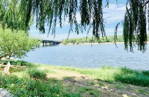 Tongzhou Canal Park