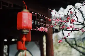 Guyi Garden