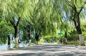 Tongzhou Canal Park