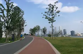 Binjiang Avenue