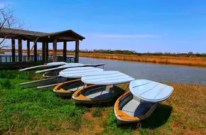 Dongtan Wetland Park