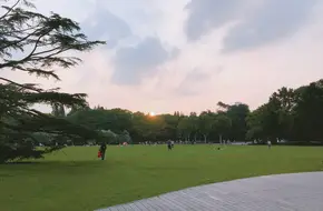Zhongshan Park