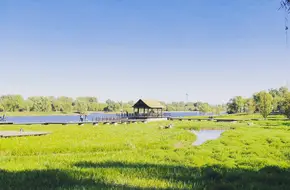 Grand Canal Forest Park