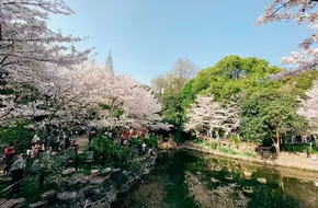 Lu Xun Park