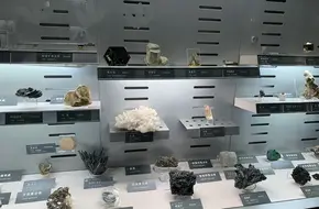 The China Geological Museum