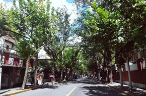 Yuyuan Road