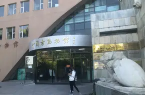 The Paleozoological Museum Of China
