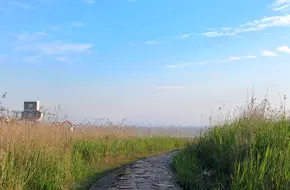 Chongming Island